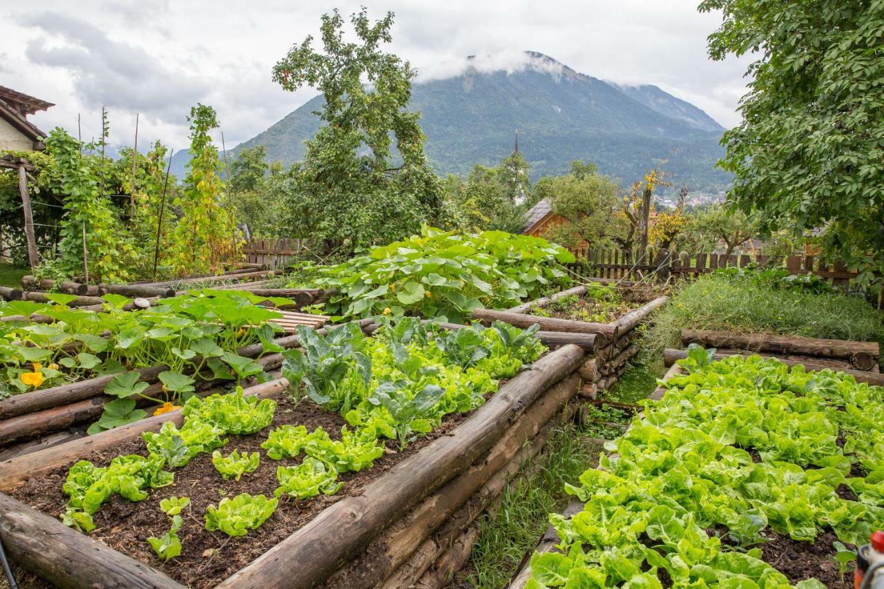 Glamping Organic Farm Slibar Villa Trzic Exterior photo